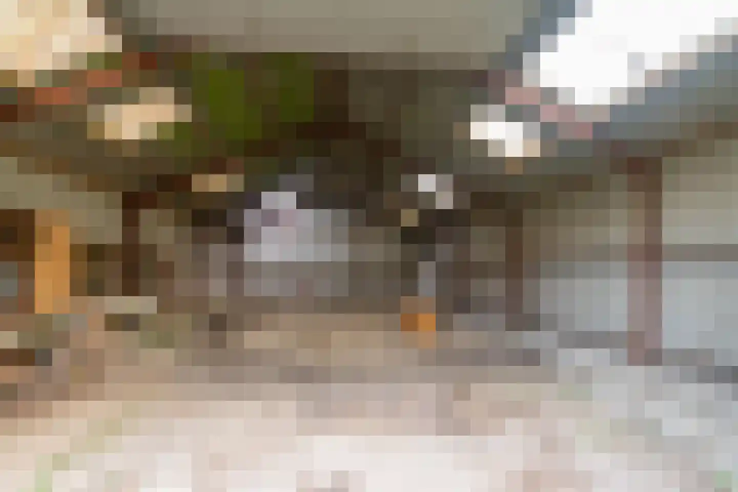 Lageweg 5 Blankenham thumbnail 41