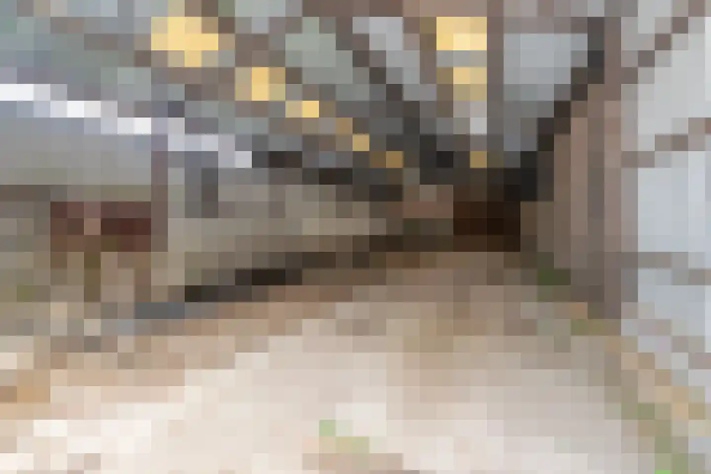 Lageweg 5 Blankenham thumbnail 44