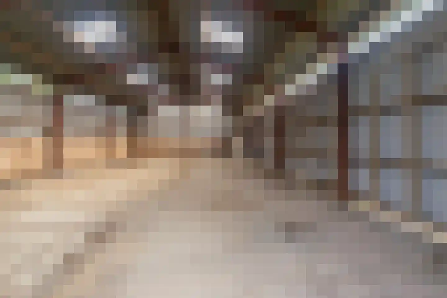 Lageweg 5 Blankenham thumbnail 46