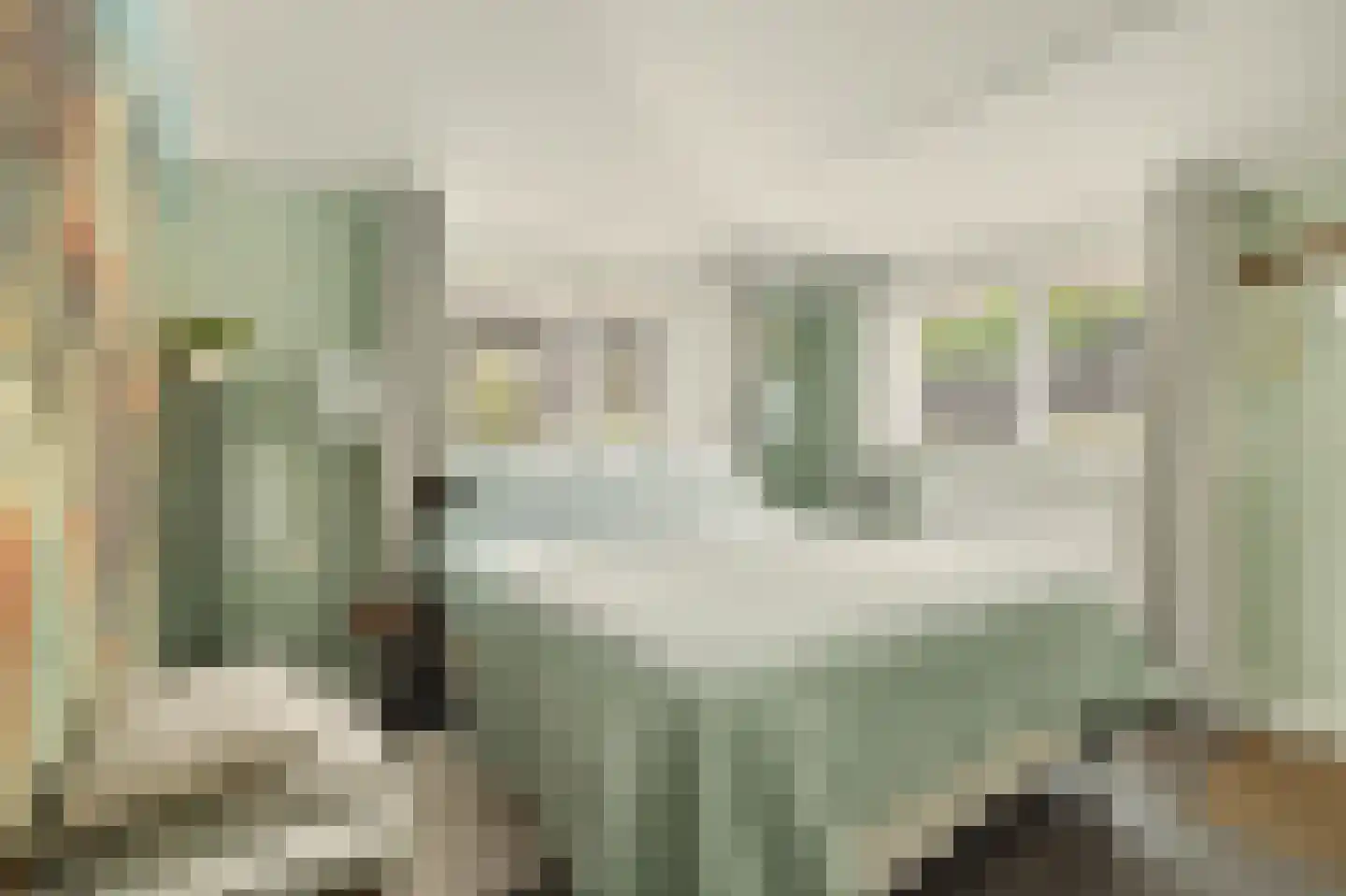 Lageweg 5 Sirjansland thumbnail 13