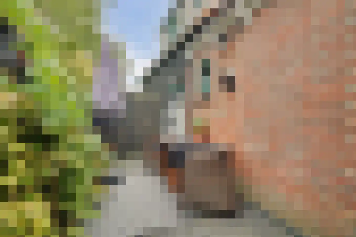 Lageweg 5 Sirjansland thumbnail 15