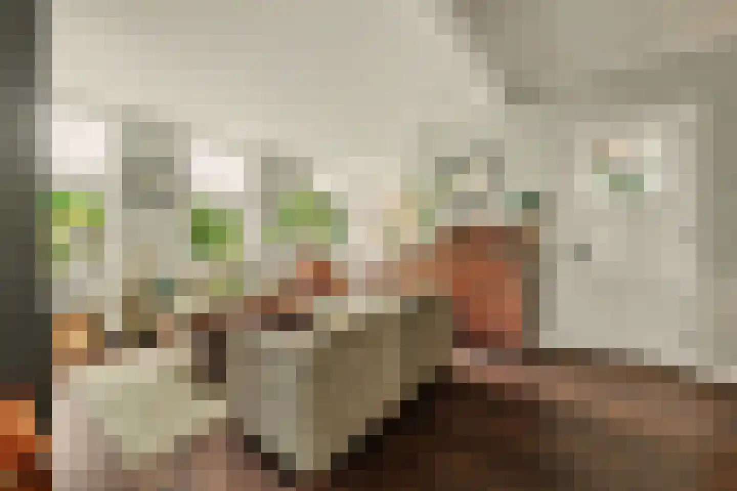 Lageweg 5 Sirjansland thumbnail 17