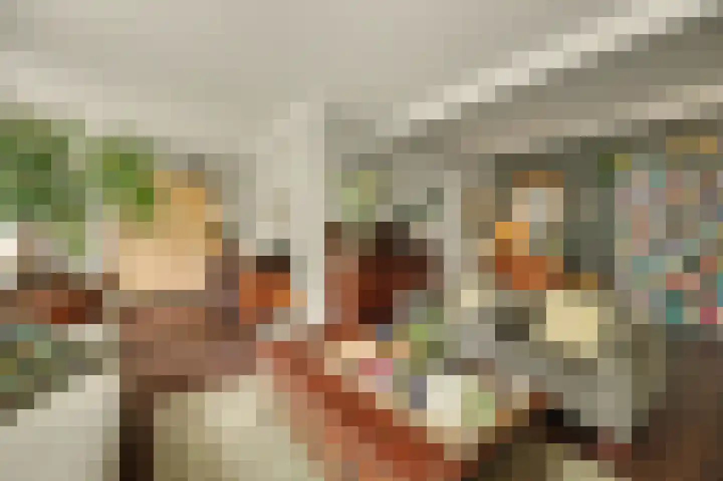 Lageweg 5 Sirjansland thumbnail 19