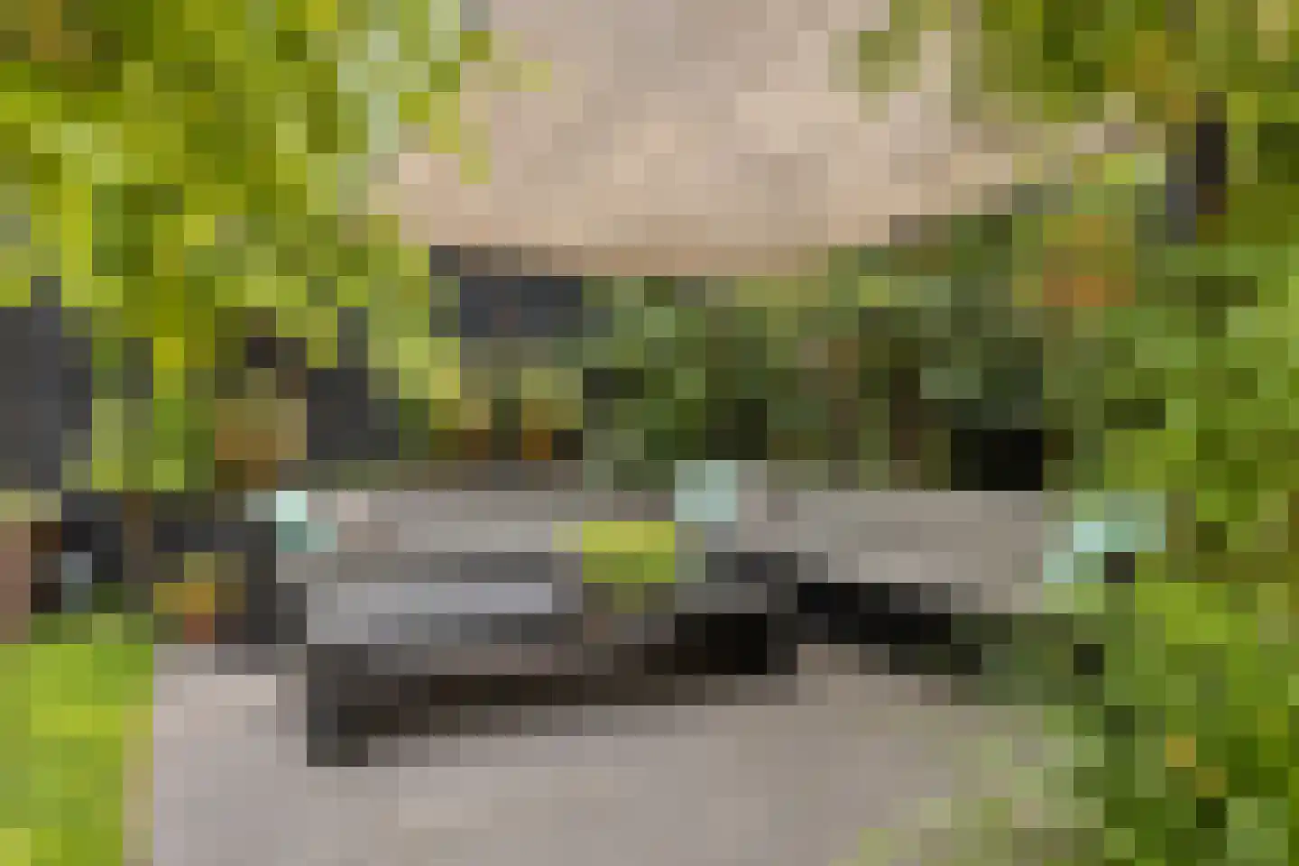 Lageweg 5 Sirjansland thumbnail 37