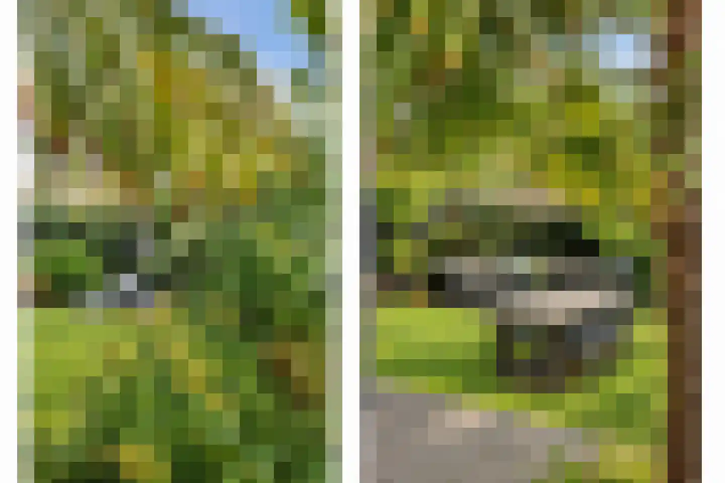 Lageweg 5 Sirjansland thumbnail 38