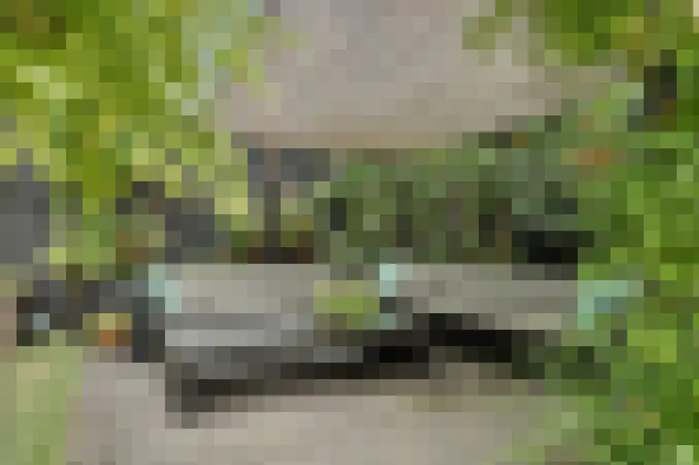 Lageweg 5 Sirjansland thumbnail 4