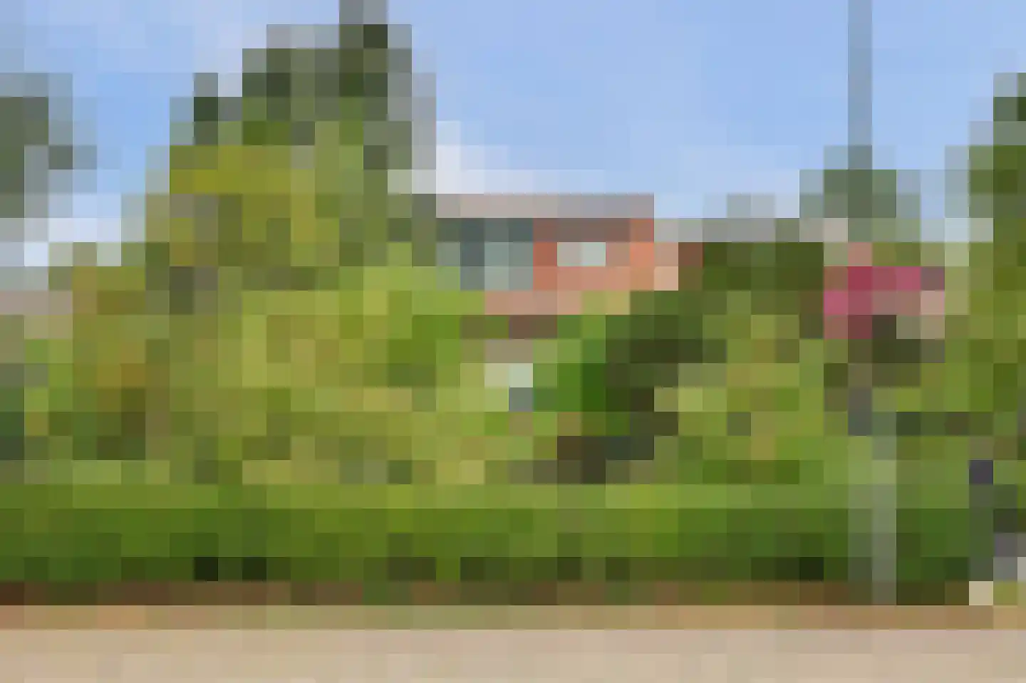 Lageweg 5 Sirjansland thumbnail 45