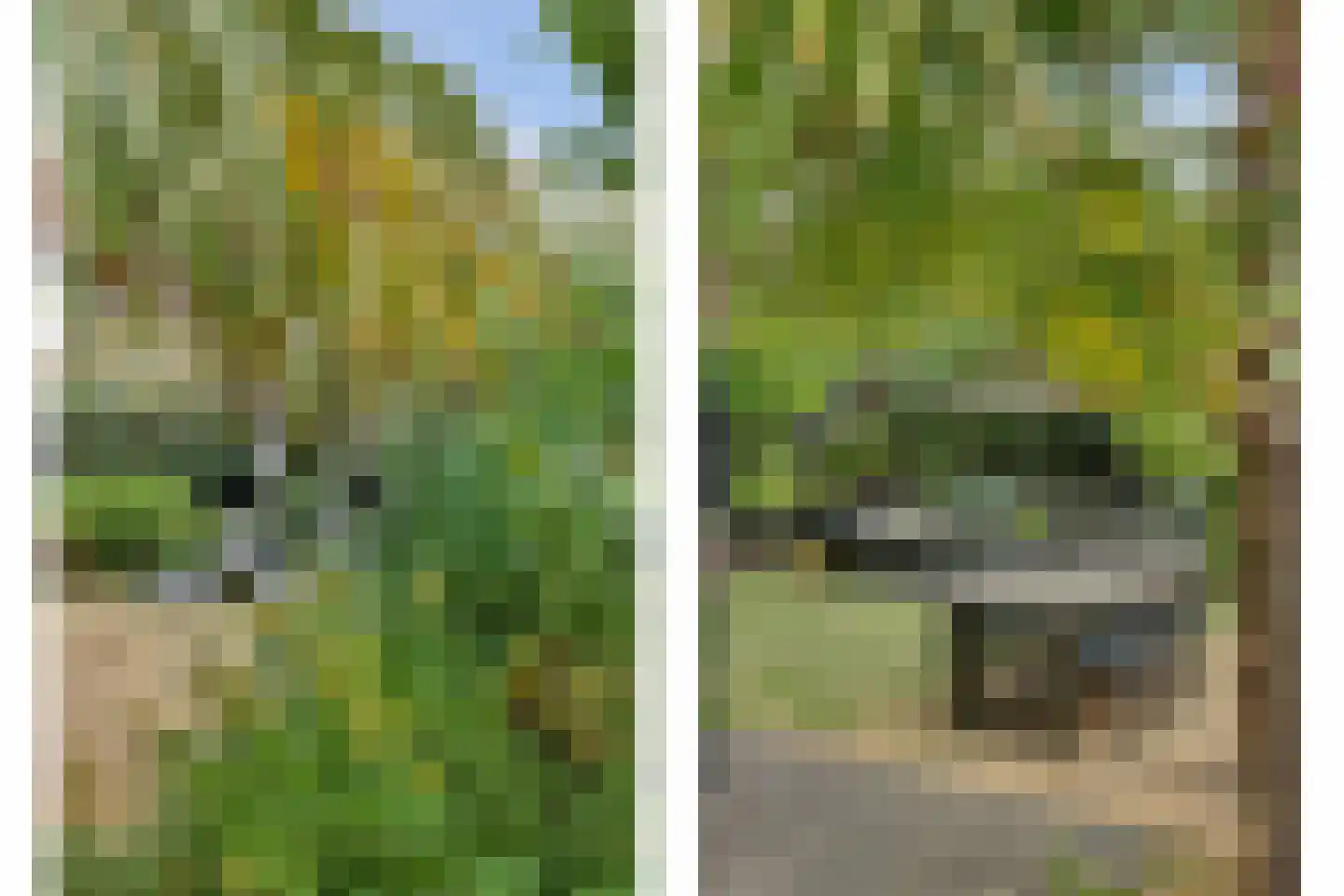 Lageweg 5 Sirjansland thumbnail 6