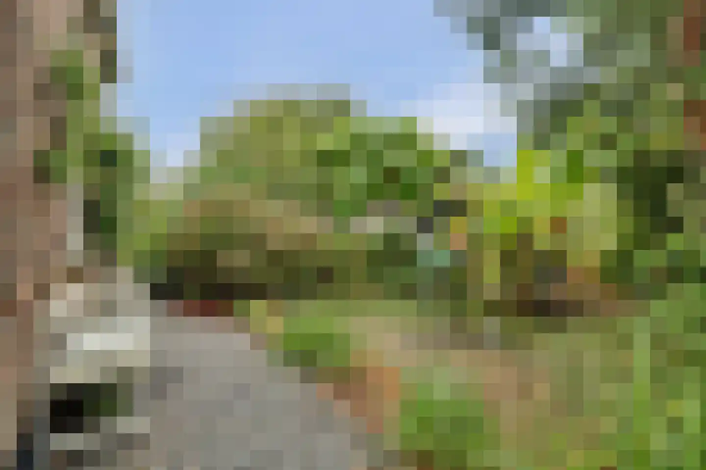 Lageweg 5 Sirjansland thumbnail 7
