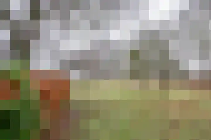 Lageweg 5 Zelhem thumbnail 11
