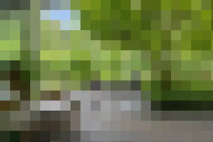 Lageweg 51 Sellingen thumbnail 24