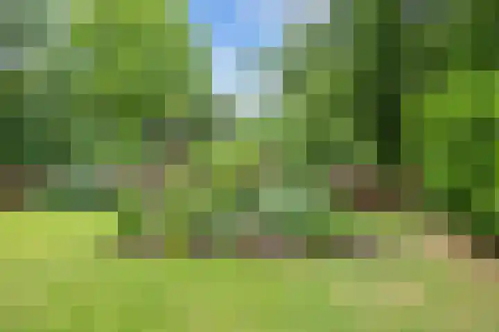 Lageweg 51 Sellingen thumbnail 25