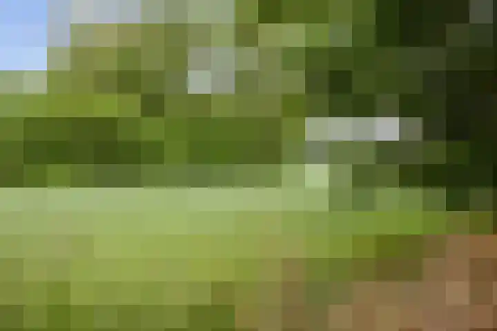 Lageweg 51 Sellingen thumbnail 26