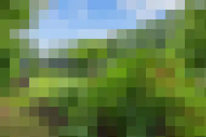 Lageweg 51 Sellingen thumbnail 27