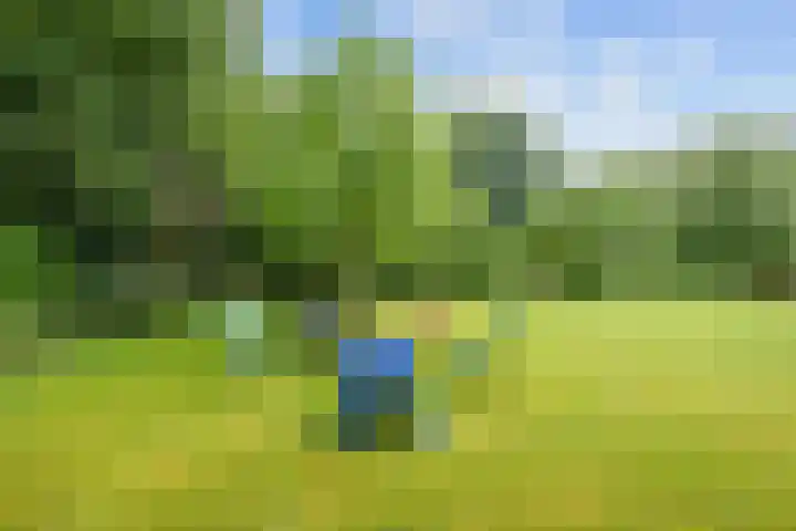 Lageweg 51 Sellingen thumbnail 30