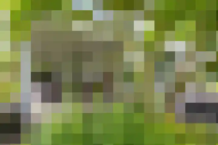 Lageweg 51 Sellingen thumbnail 32