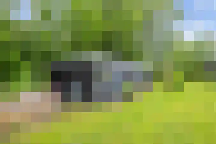 Lageweg 51 Sellingen thumbnail 33