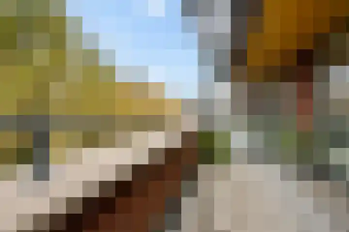 Lageweg 54 Zeist thumbnail 26