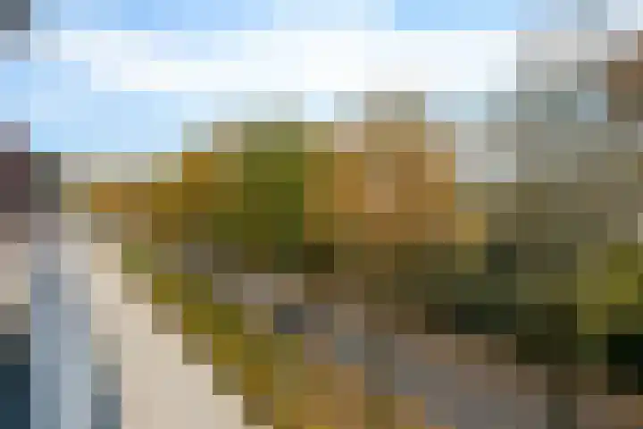 Lageweg 54 Zeist thumbnail 27