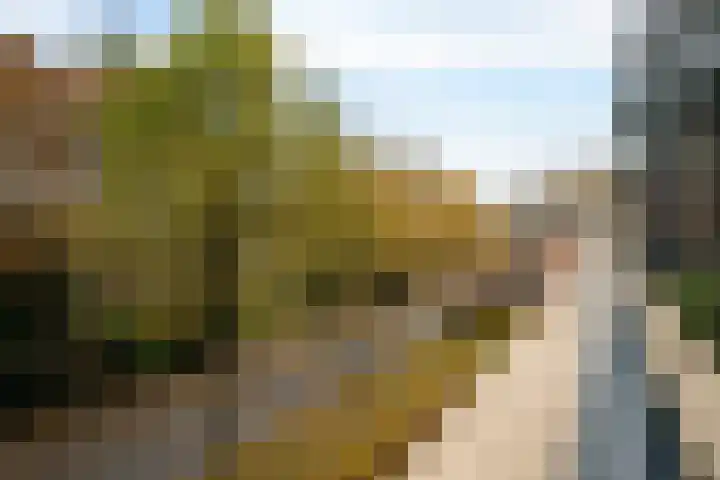 Lageweg 54 Zeist thumbnail 28
