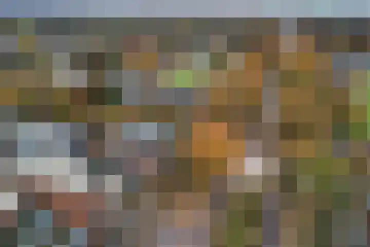 Lageweg 54 Zeist thumbnail 30
