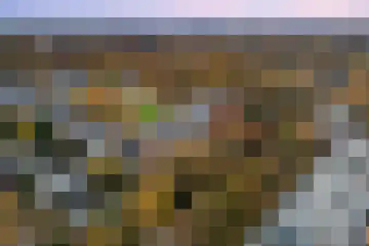 Lageweg 54 Zeist thumbnail 31