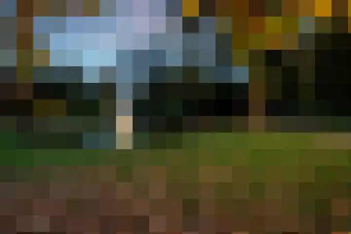 Lageweg 54 Zeist thumbnail 34