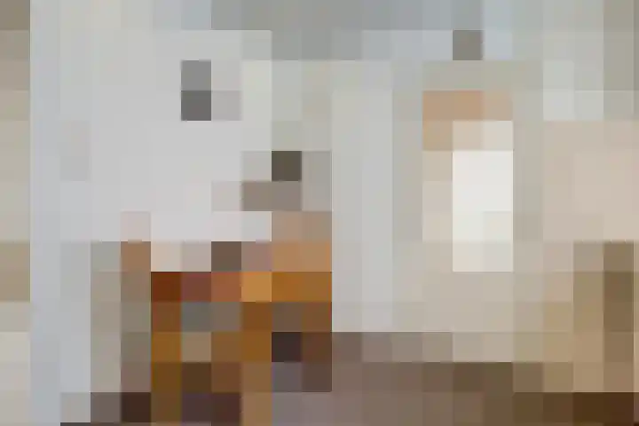 Lageweg 6 Uitwijk thumbnail 13