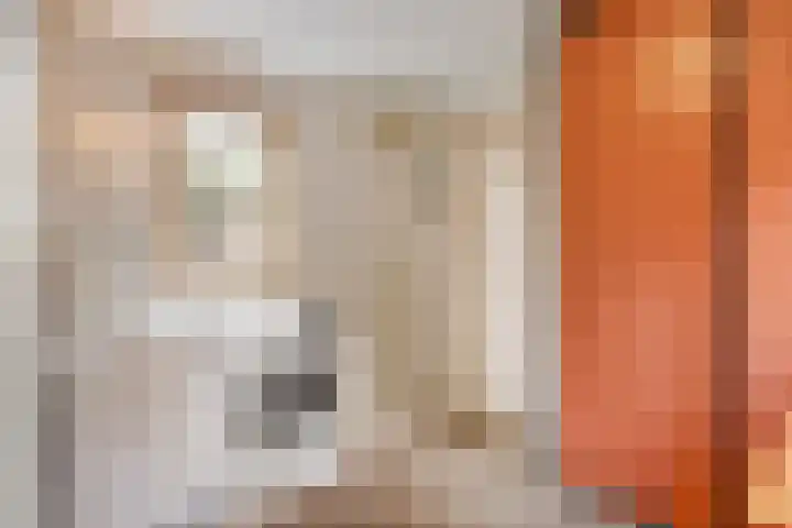 Lageweg 6 Uitwijk thumbnail 17