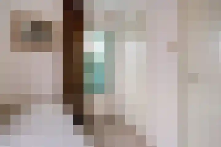Lageweg 6 Uitwijk thumbnail 27