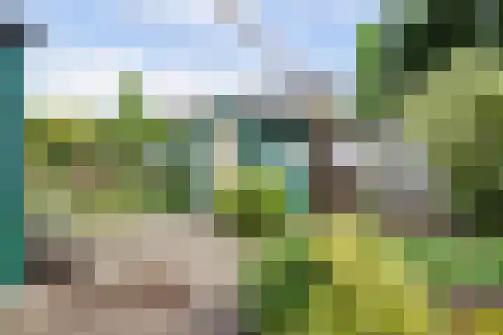 Lageweg 6 Uitwijk thumbnail 39