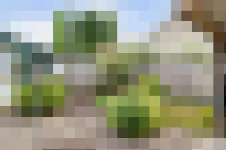 Lageweg 6 Uitwijk thumbnail 42