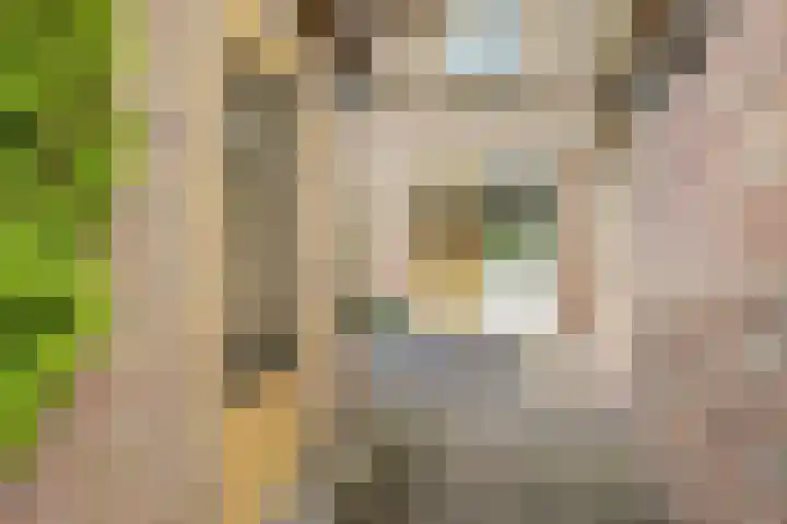 Lageweg 6 Uitwijk thumbnail 44