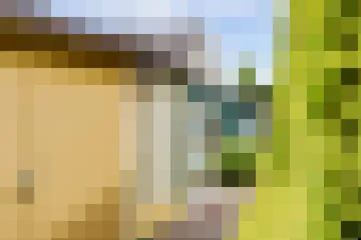 Lageweg 6 Uitwijk thumbnail 47