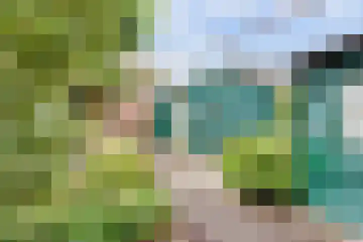 Lageweg 6 Uitwijk thumbnail 48