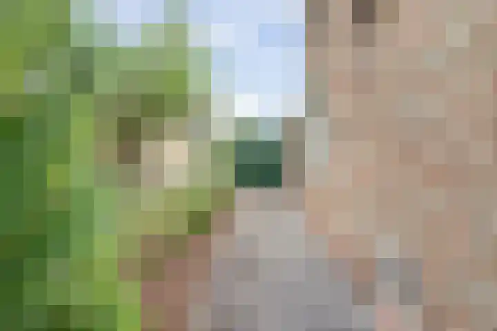 Lageweg 6 Uitwijk thumbnail 5