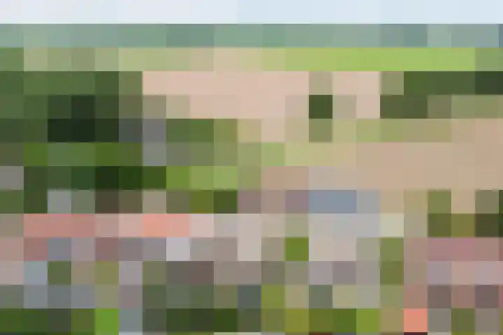 Lageweg 6 Uitwijk thumbnail 50