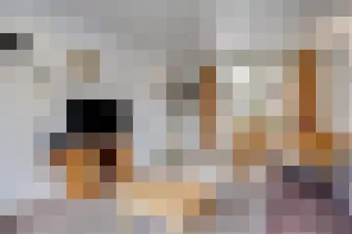 Lageweg 6 Uitwijk thumbnail 9