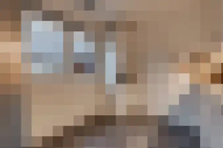 Lageweg 66 Wedde thumbnail 22