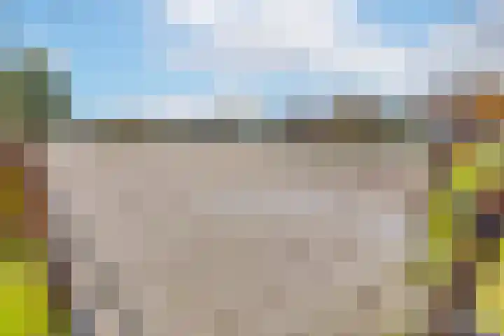 Lageweg 66 Wedde thumbnail 4