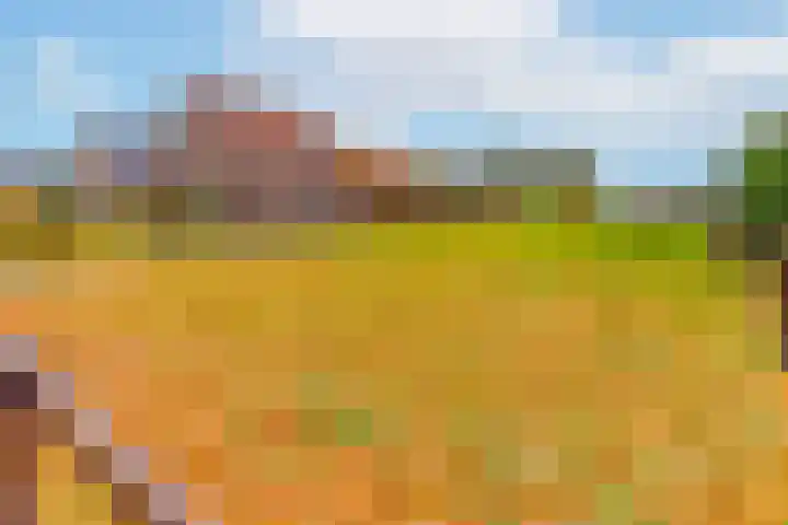 Lageweg 66 Wedde thumbnail 5