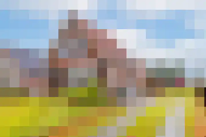 Lageweg 66 Wedde thumbnail 8