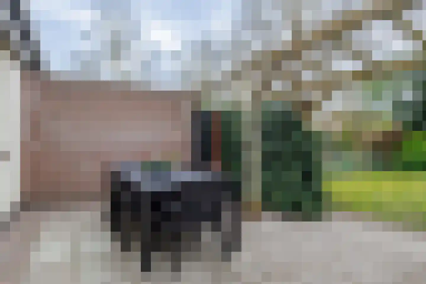 Lageweg 67 Zuidlaren thumbnail 23