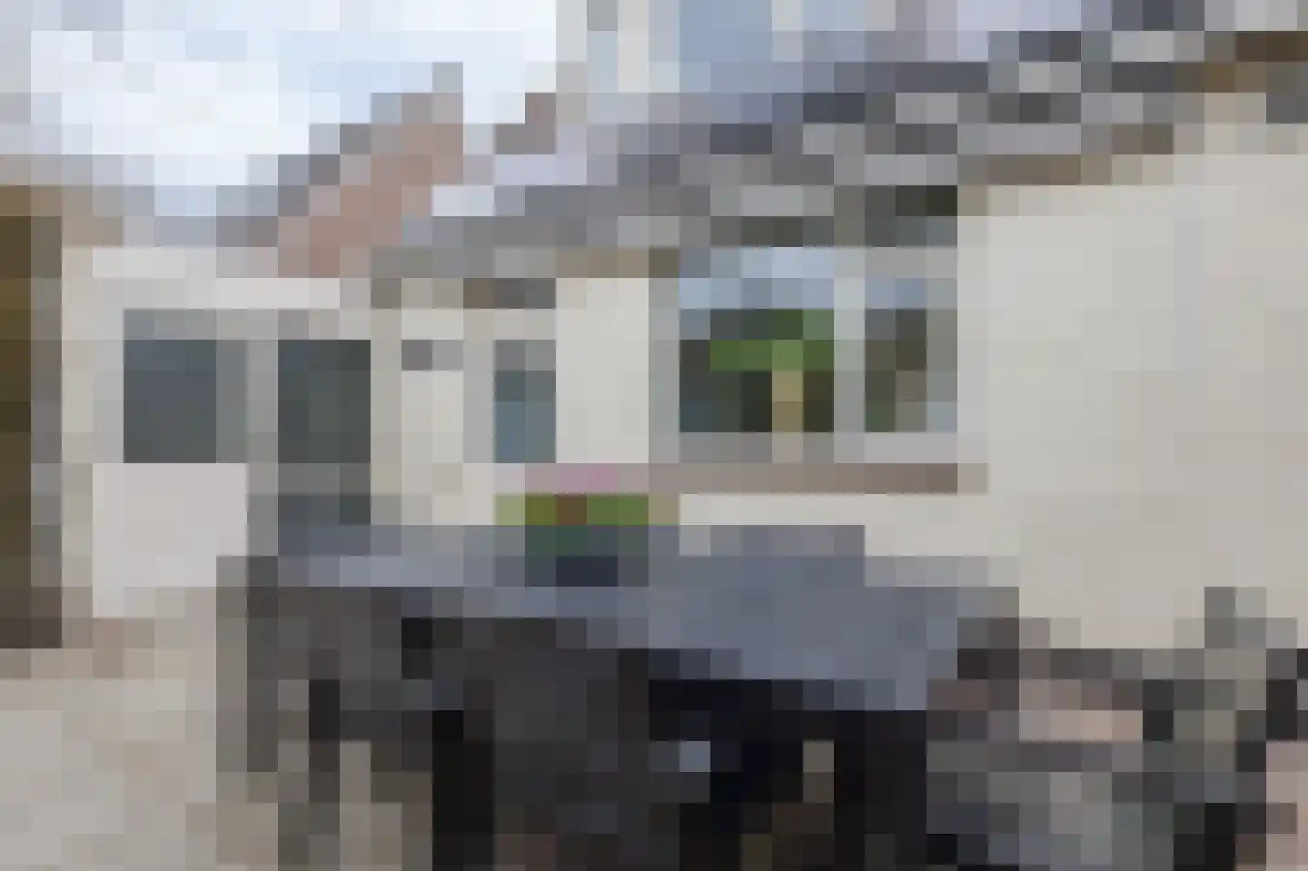 Lageweg 67 Zuidlaren thumbnail 26
