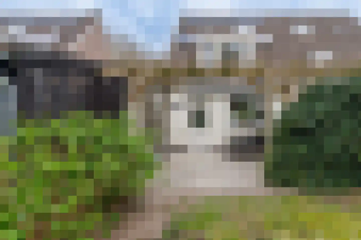 Lageweg 67 Zuidlaren thumbnail 32