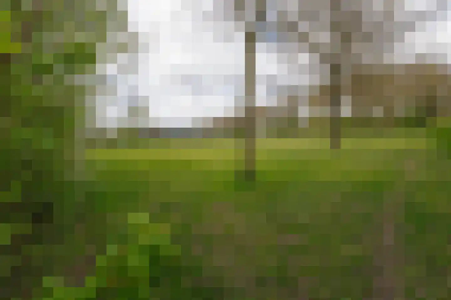 Lageweg 67 Zuidlaren thumbnail 64