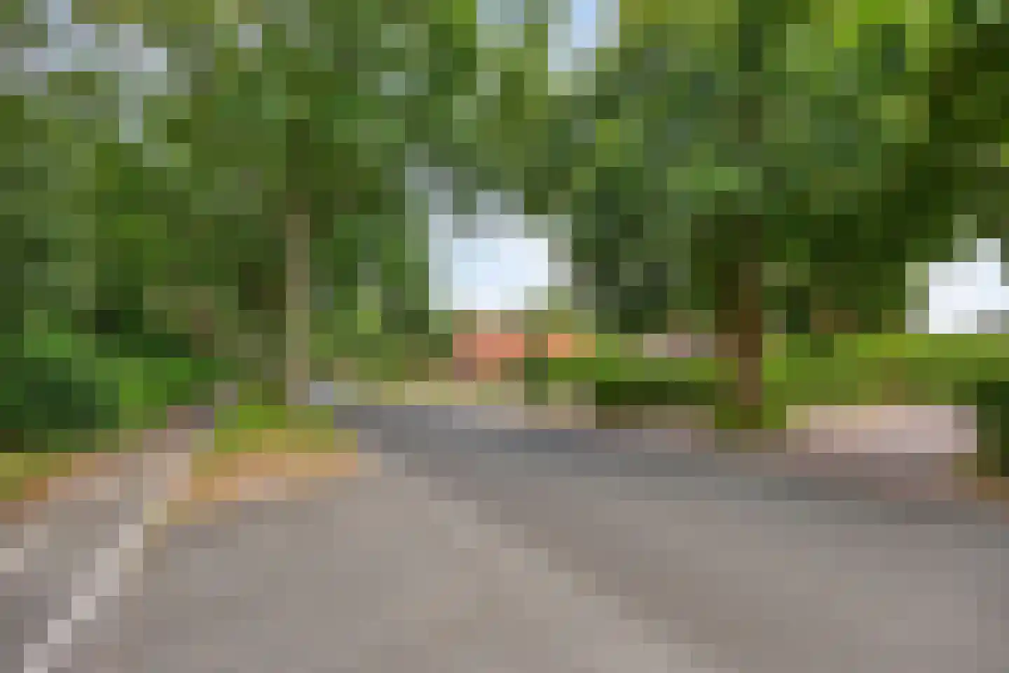 Lageweg 79 Wedde thumbnail 46