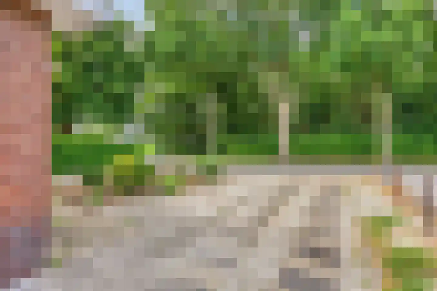Lageweg 79 Wedde thumbnail 9