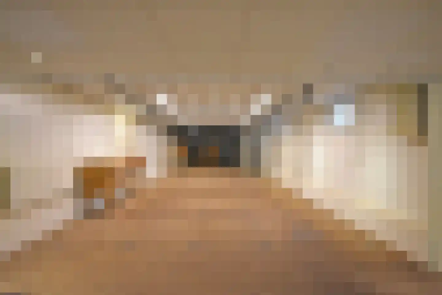 Lageweg 8 Burgum thumbnail 7