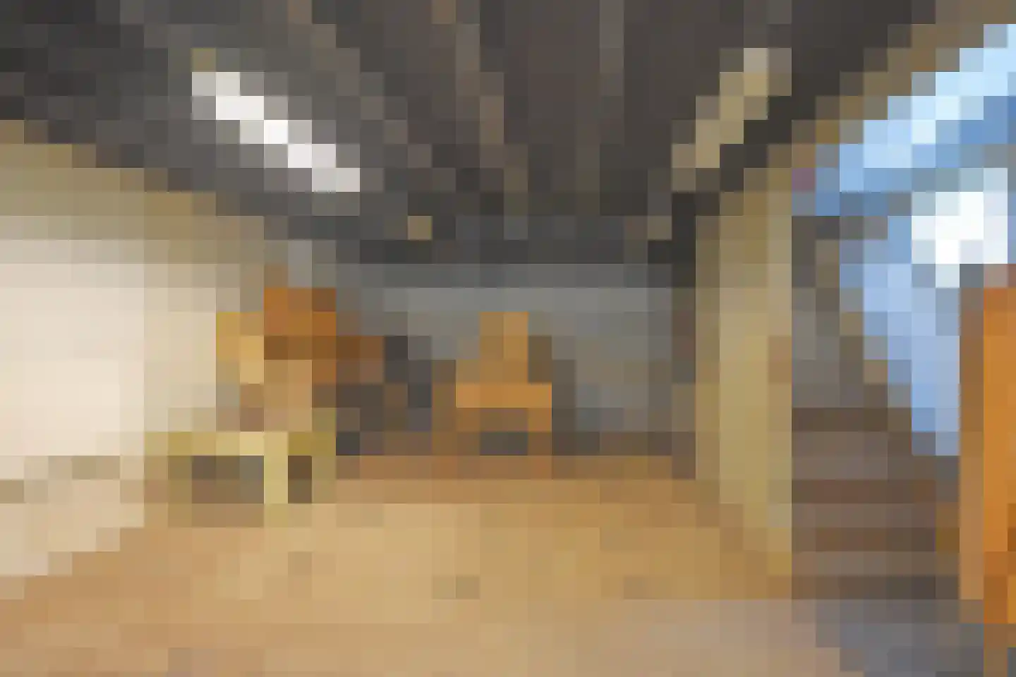 Lageweg 8 Burgum thumbnail 8